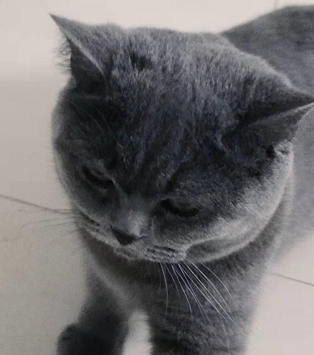DƬ